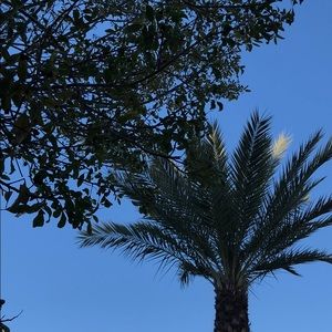 Meet your Posher, Alejandro